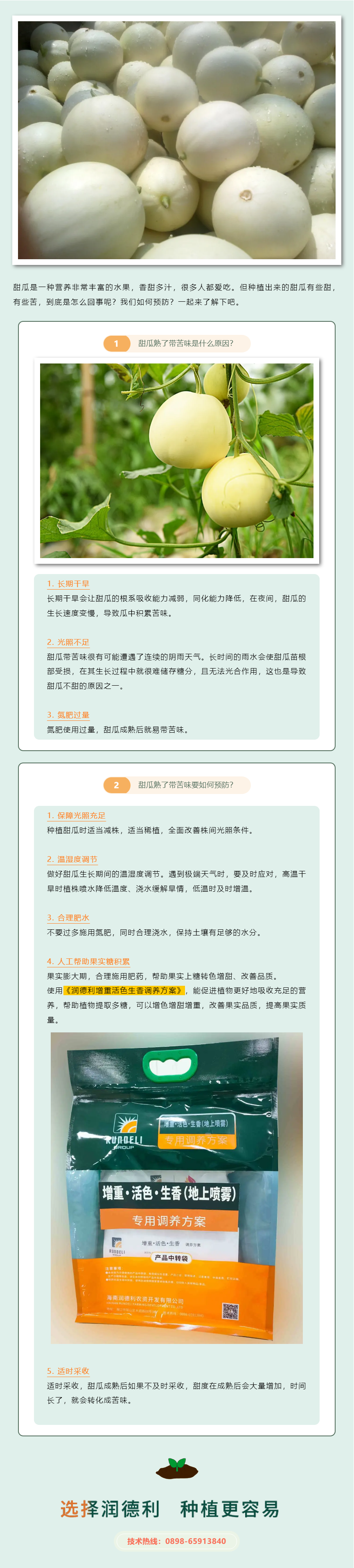甜瓜熟了帶苦味是什么原因？如何預防？.png