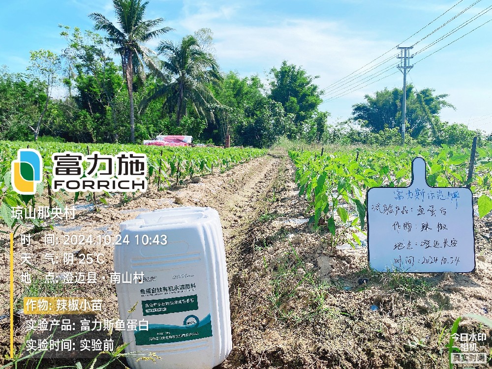 魚(yú)蛋白肽有機(jī)水溶肥試驗(yàn)示范情況