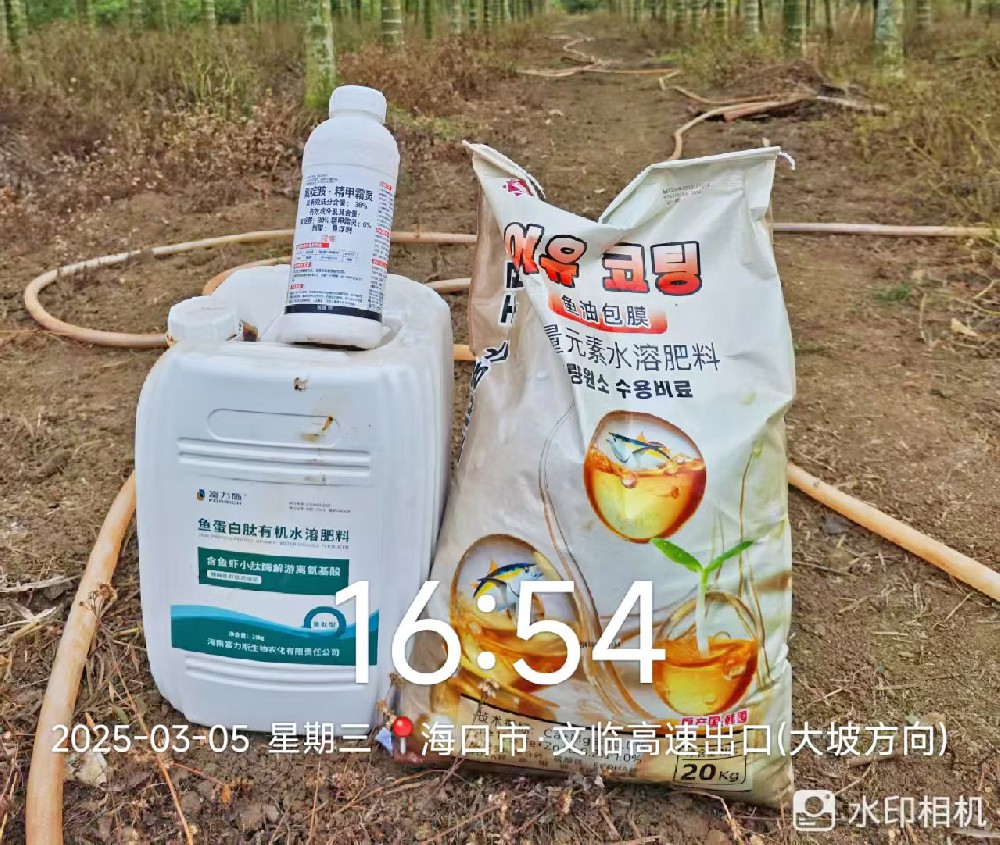 雙肥出擊！魚蛋白 + 魚油包膜為海南作物賦能